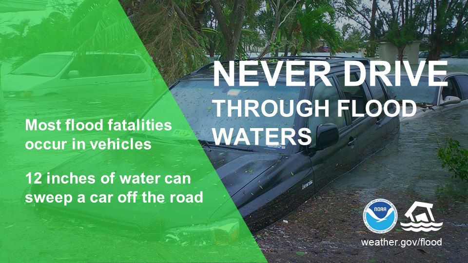 Never Drive